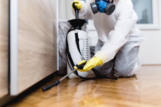 Best Best Pest Control Companies  in Concordia, NJ