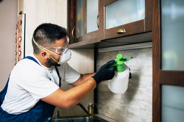 Best Best Pest Control Companies  in Concordia, NJ