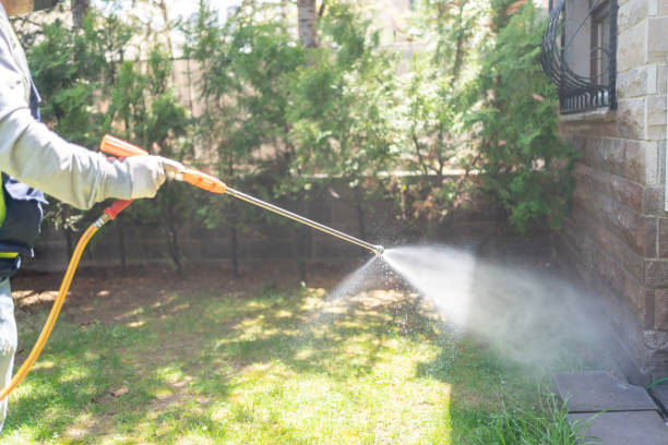 Insect Control in Concordia, NJ