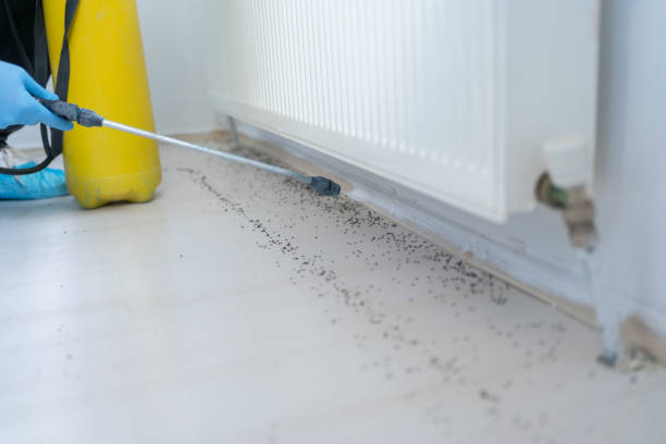 Best Pest Prevention Services  in Concordia, NJ